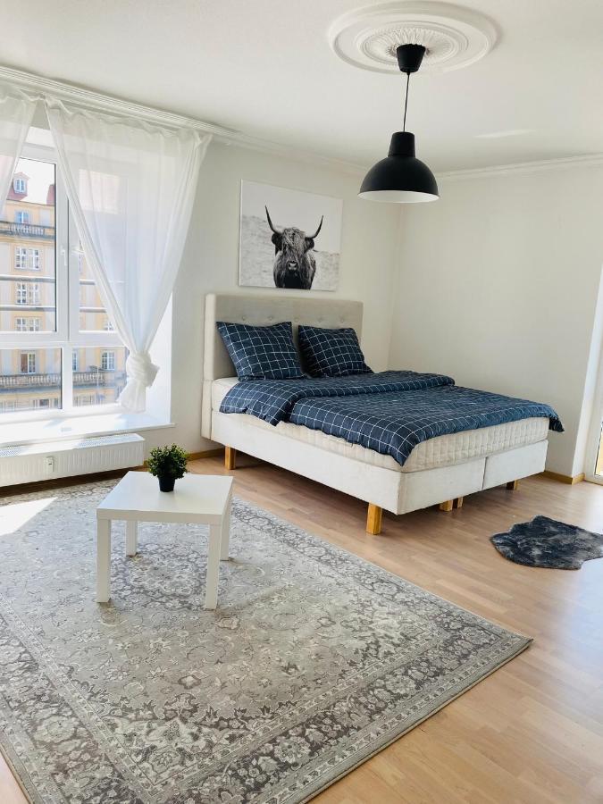 Luxury 3-Room Apartment Drážďany Exteriér fotografie