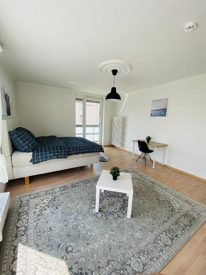Luxury 3-Room Apartment Drážďany Exteriér fotografie